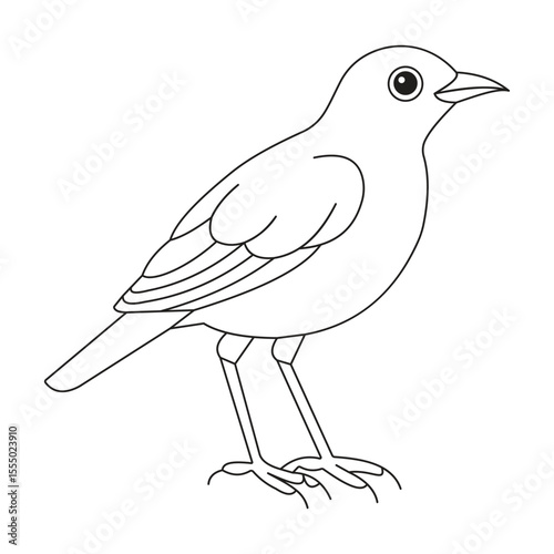 bird on a branch