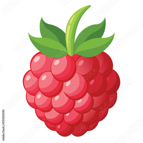 Isolated raspberry fruit illustration with green leaves fresh and sweet food concept