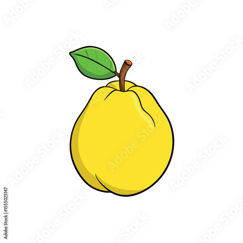 Quince fruit vector illustration fresh yellow with green leaf isolated