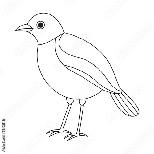 sketch of a bird