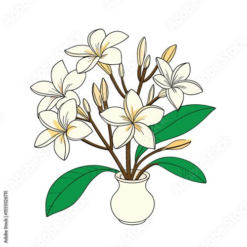  Jasmin Flowers in a Vase 