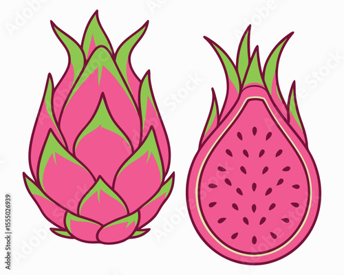 Simple illustration of dragon fruit whole and half isolated on white
