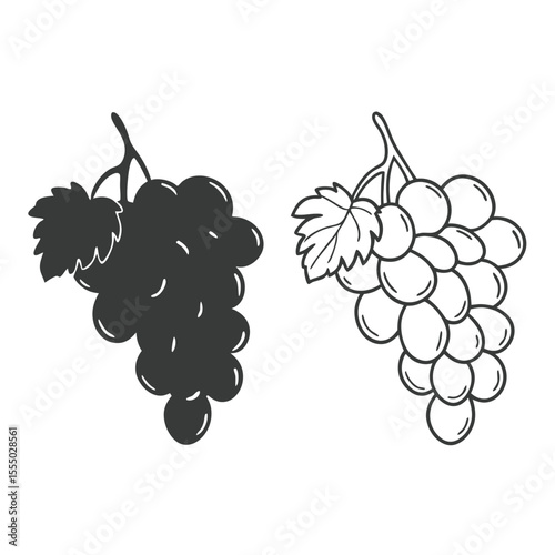 Two grape bunches in black and white outline style isolated on white