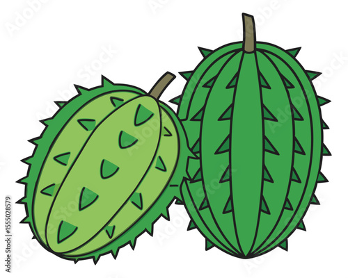 Two kiwano melons illustration exotic african horned cucumbers green spiked fruit