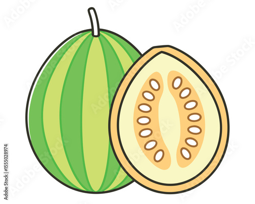 Vector illustration of whole and cut open pepino melon fruit