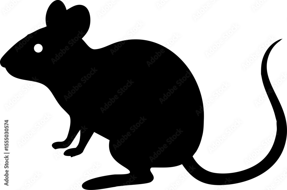 Obraz premium Cute wild animal vector drawing of a black cat silhouette and a fun squirrel illustration