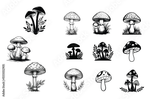 Vintage Mushroom Illustration Clipart Set