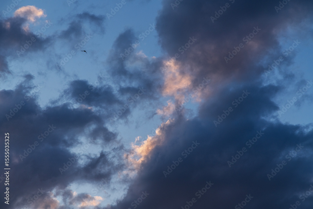 Obraz premium Beautiful sunset sky, with clouds. Sky background.