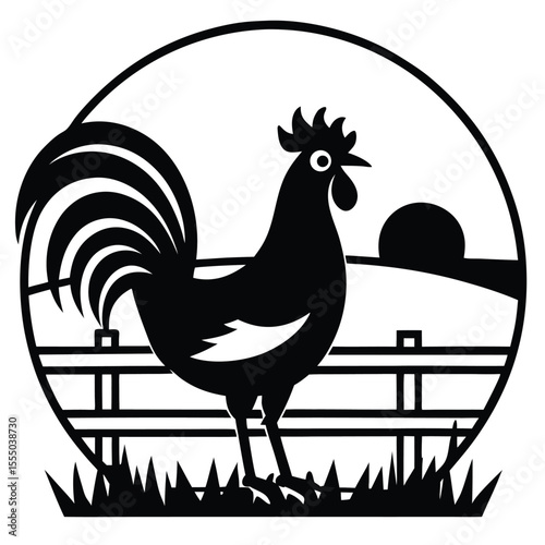Black Rooster Silhouette Sunrise Farm Fence Grass Field chicken bird