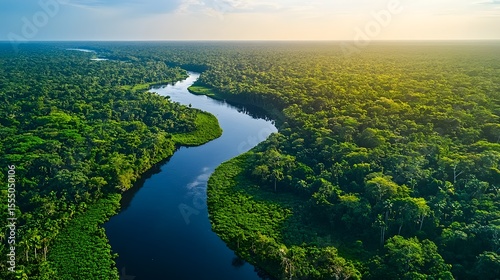Lush jungle river winding through dense foliage