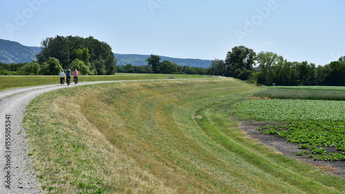 Bike way  E8 along river Danuábe near town Hainburg
