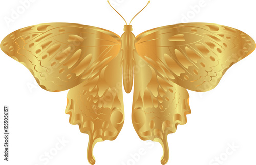 vector butterfly drawings. 3d illustration images.