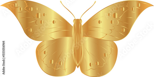 vector butterfly drawings. 3d illustration images.