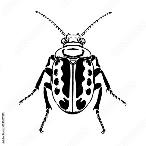 A stylized, detailed black and white illustration of an insect, possibly a beetle or roach, with intricate patterns.
