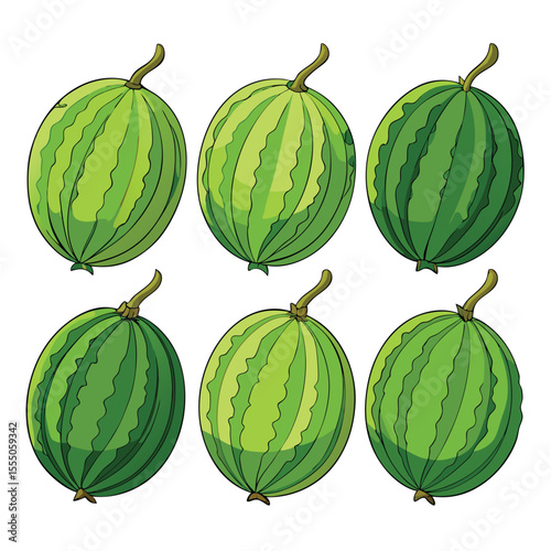 six bitter melon vegetable separately set  isolated  on white background