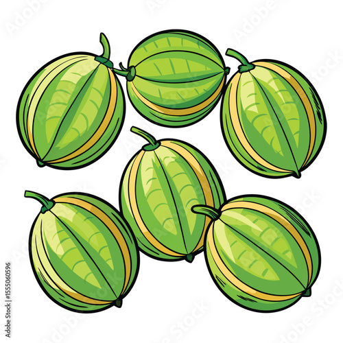 six bitter melon vegetable separately set  isolated  on white background