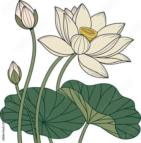 Lili Flower