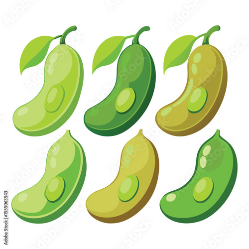 six broad beans vegetable separately set  isolated  on white background