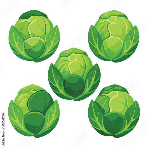 six brussels sprouts vegetable separately set  isolated  on white background
