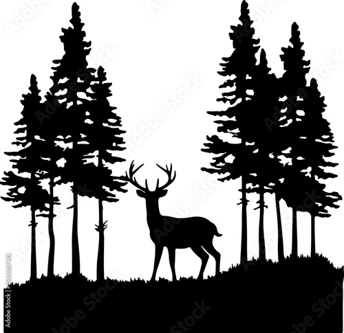 deer in the forest