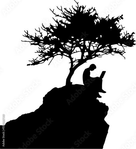 silhouette of a man under tree on mountain working with laptop