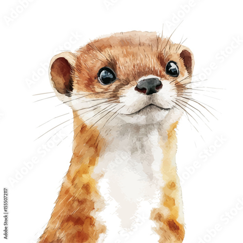 Weasel Close Up, watercolor painting vector, isolated on a white background.