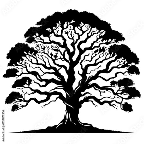 Bonsai tree silhouette