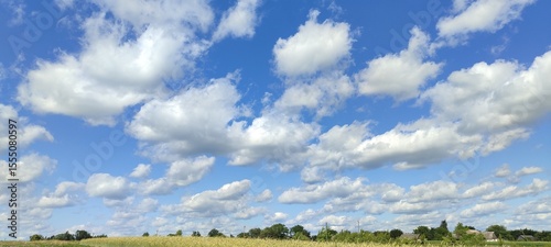 Foto Beautiful puffy clouds drifting over a sunny field with green trees in the backg