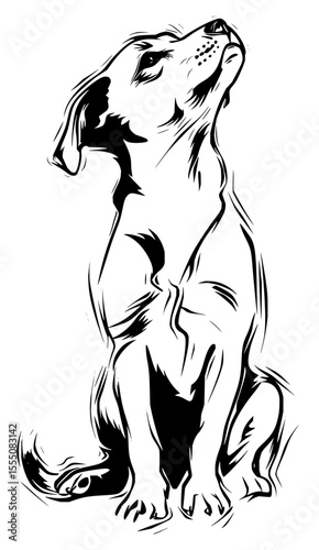 Minimilist illustration of a dog sitting upright looking up with a black and white sketch style and detailed lines vector