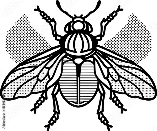 Detailed fly insect illustration black and white drawing, symmetrical wings, dotted pattern, entomology graphic