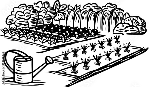 Vegetable garden illustration with rows of plants, watering can, trees and bushes homegrown organic cultivation