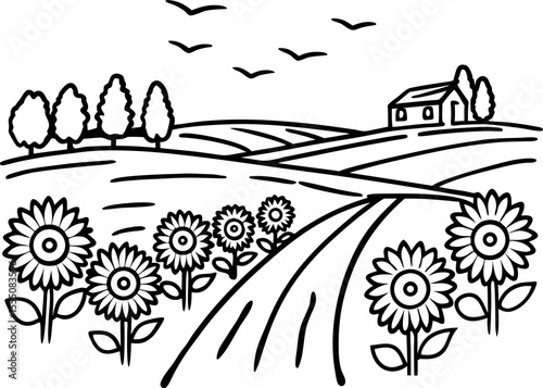 Sunflower field and country house outline rural landscape with sunflowers, path, trees, birds, peaceful countryside scenery