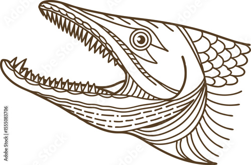 Predatory fish head illustration with open mouth and sharp teeth aggressive aquatic animal line art design