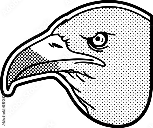 Detailed monochrome illustration of eagle head in vintage engraving bird of prey animal symbol, strong beak profile