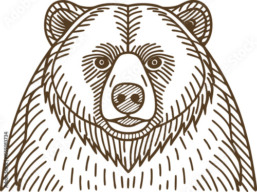 Detailed symmetrical bear illustration wild animal head, hand drawn outline, sketch wildlife graphic art
