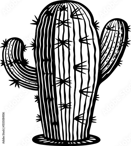 Hand drawn desert cactus illustration spiky succulent plant, black and white outline for botanical design