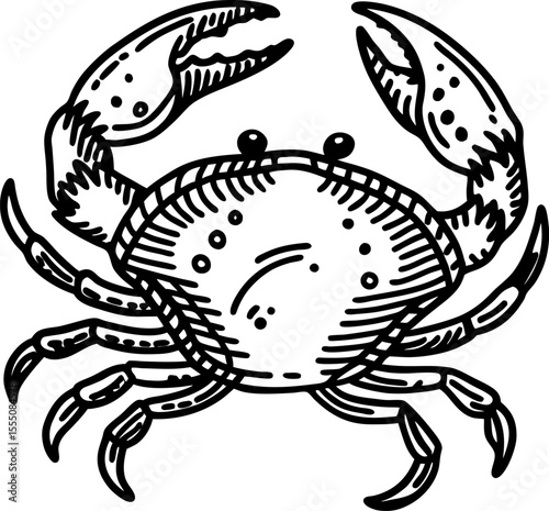 Hand drawn crab illustration with detailed claws and shell marine animal, ocean wildlife, seafood design element