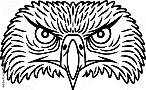 Fierce eagle face outlined illustration powerful raptor bird stare, detailed head, sharp beak and intense eyes