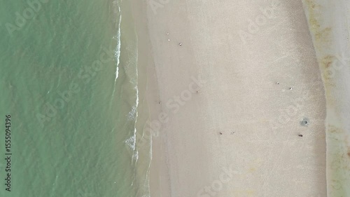 Wide sandy beach and peaceful sea
