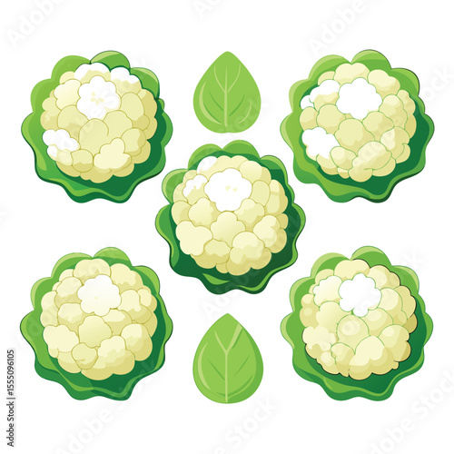 six cauliflower vegetable separately set  isolated  on white background