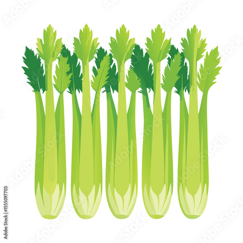six celery vegetable separately set  isolated  on white background
