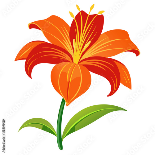orange tiger lily