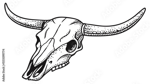 Detailed line art drawing of a bull skull with large curved horns isolated on transparent background