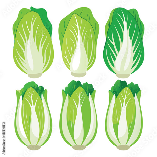 six chinese cabbage vegetable separately set  isolated  on white background