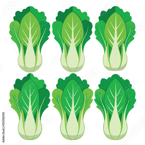 six chinese mustard greens vegetable separately set  isolated  on white background