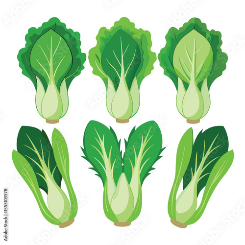 six chinese mustard greens vegetable separately set  isolated  on white background