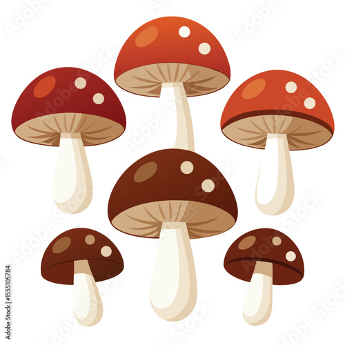 six cremini mushroom vegetable separately set  isolated  on white background