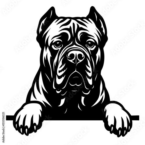 Cane Corso dog head peeking over a surface, monochrome vector illustration. 