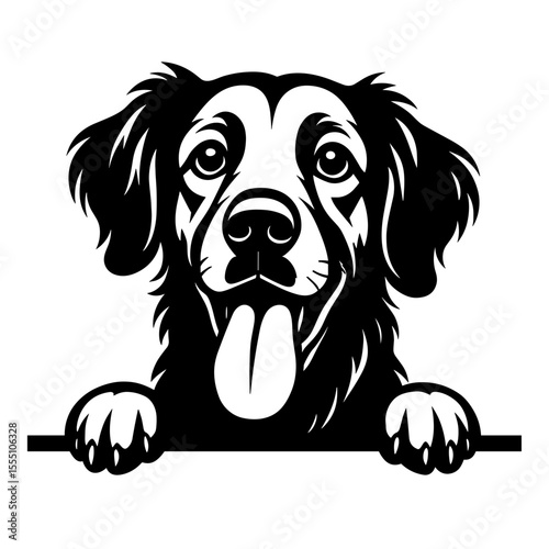 A charming dog looks out from behind a horizontal border, its expressive face and lolling tongue evoking a sense of friendliness and playfulness.