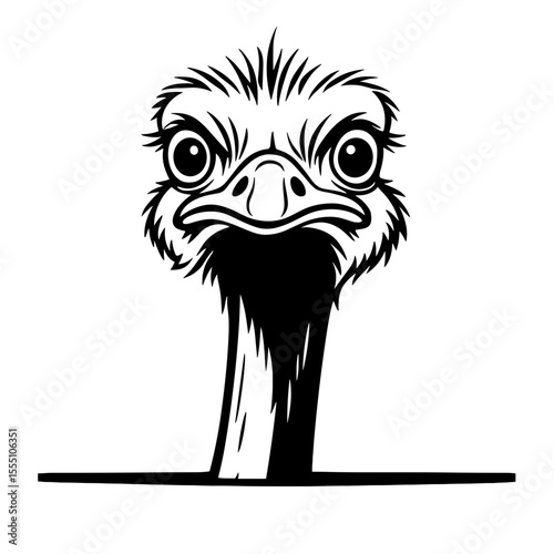 Ostrich head, monochrome illustration, bird portrait, animal face, curious expression. vector illustration